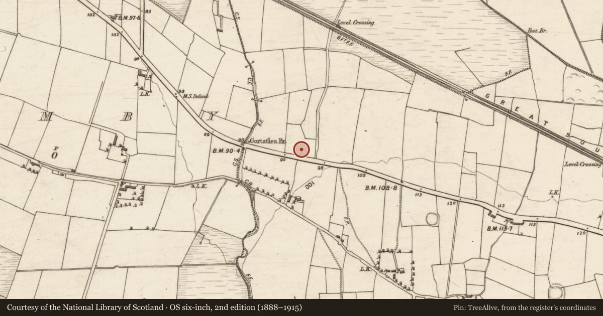 Ordnance Survey six-inch map, 2nd edition (1888–1915) covering the location of Burial, Gortatlea, County Kerry, with a pin at the register's coordinates