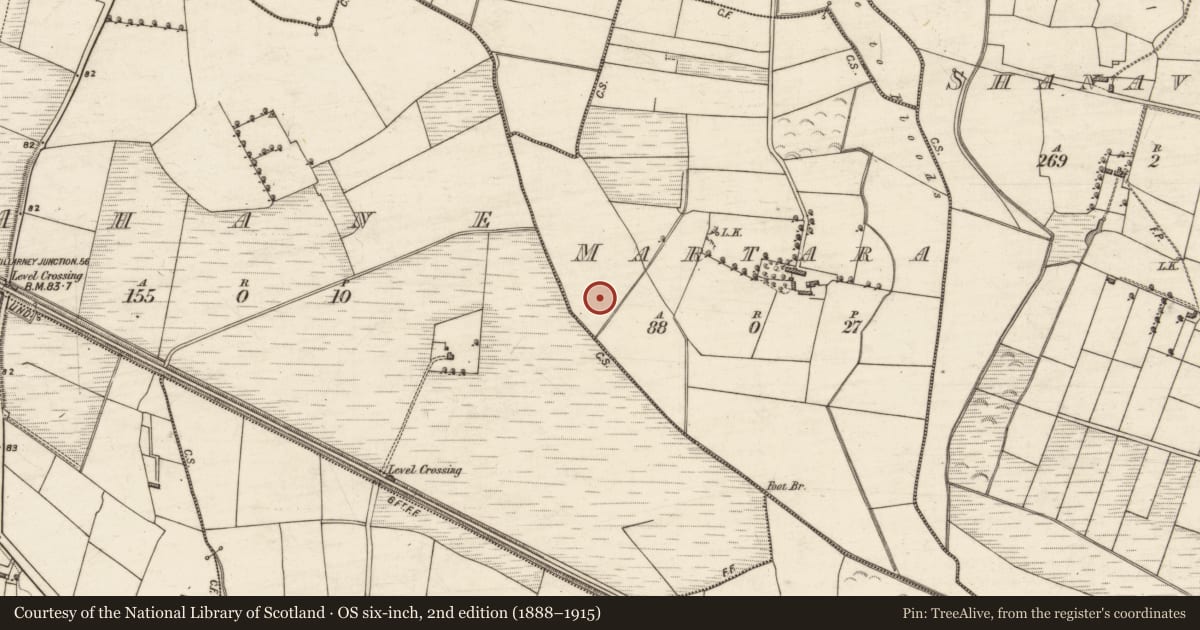 Ordnance Survey six-inch map, 2nd edition (1888–1915) covering the location of Burnt mound, Martara, County Kerry, with a pin at the register's coordinates