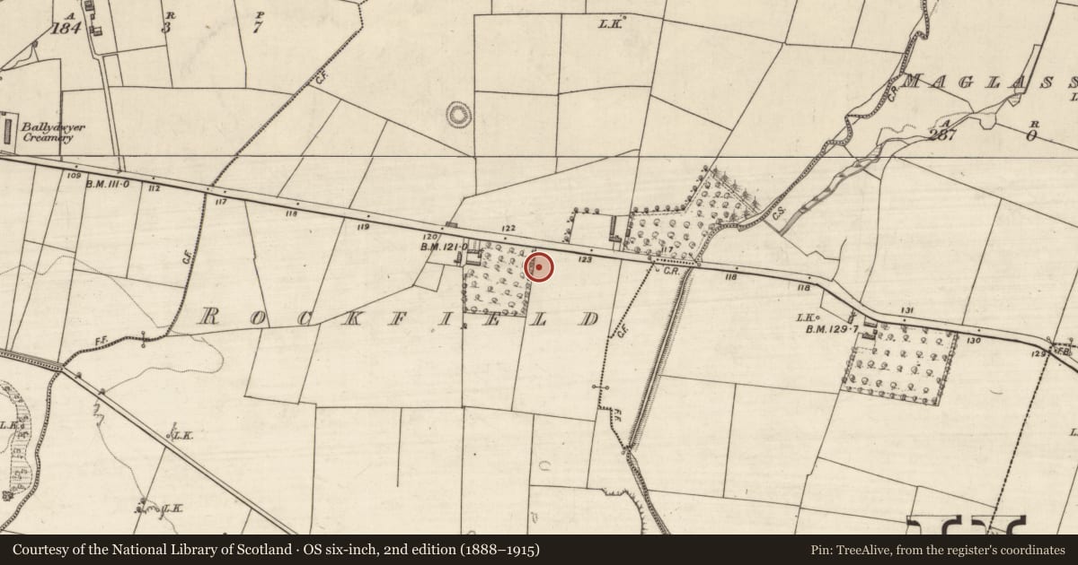 Ordnance Survey six-inch map, 2nd edition (1888–1915) covering the location of Burial, Rockfield, County Kerry, with a pin at the register's coordinates