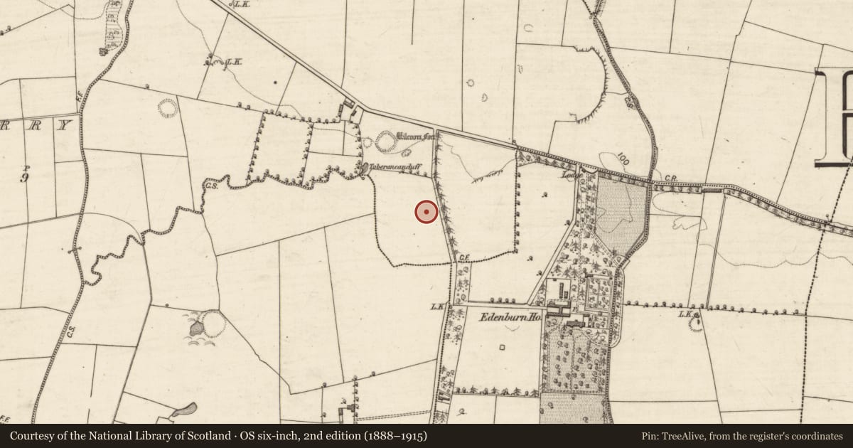 Ordnance Survey six-inch map, 2nd edition (1888–1915) covering the location of Excavation - miscellaneous, Rockfield, County Kerry, with a pin at the register's coordinates
