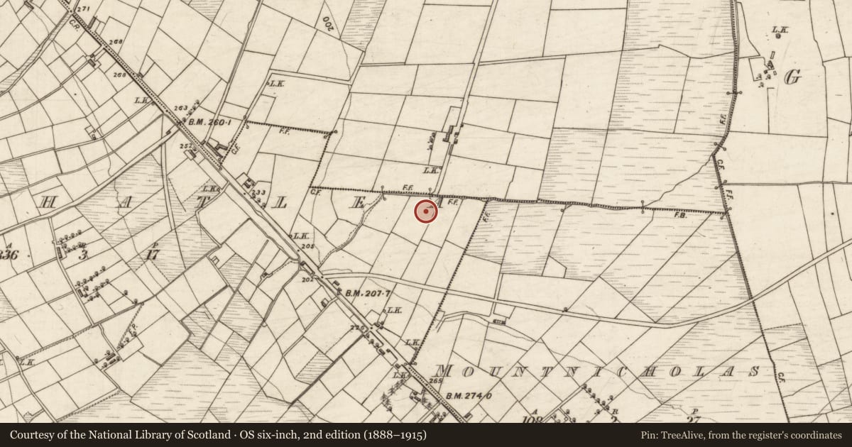 Ordnance Survey six-inch map, 2nd edition (1888–1915) covering the location of Ring-ditch, Clashatlea, County Kerry, with a pin at the register's coordinates
