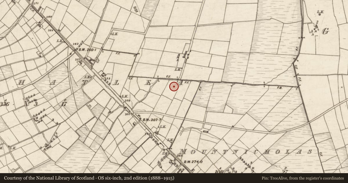 Ordnance Survey six-inch map, 2nd edition (1888–1915) covering the location of Ring-ditch, Clashatlea, County Kerry, with a pin at the register's coordinates
