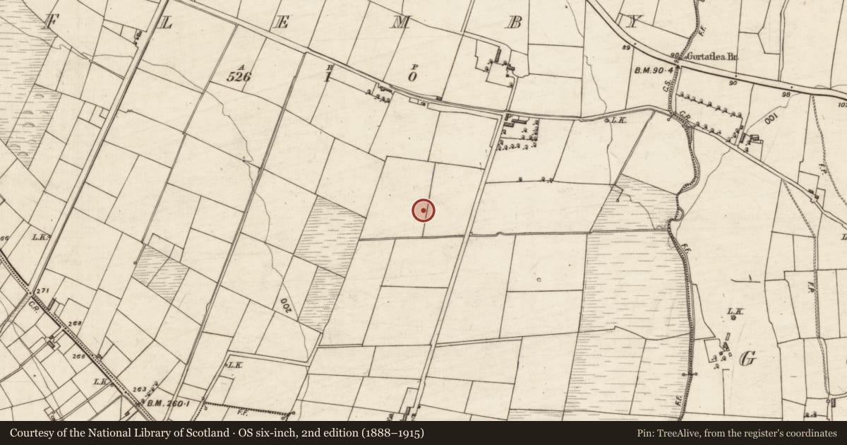 Ordnance Survey six-inch map, 2nd edition (1888–1915) covering the location of Ring-ditch, Flemby, County Kerry, with a pin at the register's coordinates