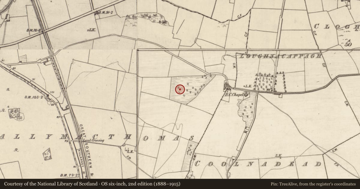 Ordnance Survey six-inch map, 2nd edition (1888–1915) covering the location of Field system, Ballymacthomas, County Kerry, with a pin at the register's coordinates
