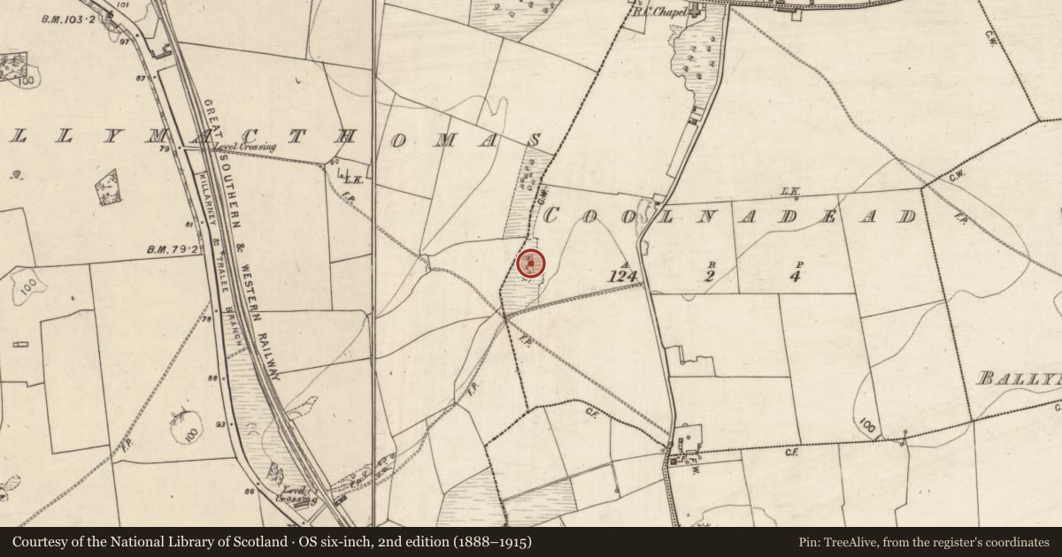 Ordnance Survey six-inch map, 2nd edition (1888–1915) covering the location of Field system, Ballymacthomas, Coolnadead, County Kerry, with a pin at the register's coordinates