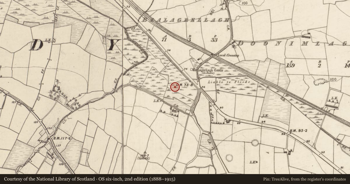 Ordnance Survey six-inch map, 2nd edition (1888–1915) covering the location of Fulacht fia, Bealagrellagh, County Kerry, with a pin at the register's coordinates