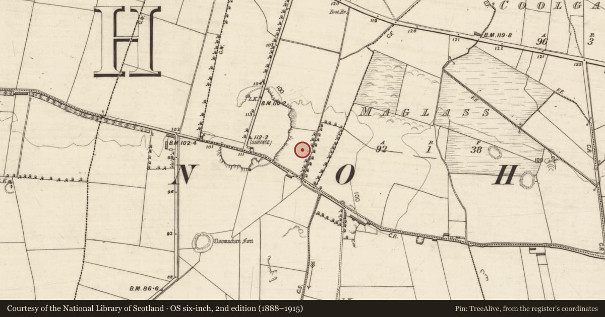 Ordnance Survey six-inch map, 2nd edition (1888–1915) covering the location of Earthwork, Maglass, County Kerry, with a pin at the register's coordinates