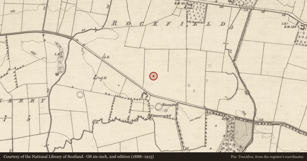 Ordnance Survey six-inch map, 2nd edition (1888–1915) covering the location of Castle - unclassified, Rockfield, County Kerry, with a pin at the register's coordinates