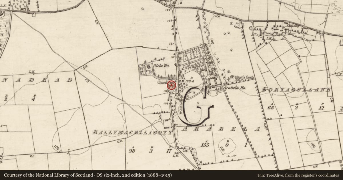 Ordnance Survey six-inch map, 2nd edition (1888–1915) covering the location of Graveyard, Ballymacelligott, County Kerry, with a pin at the register's coordinates