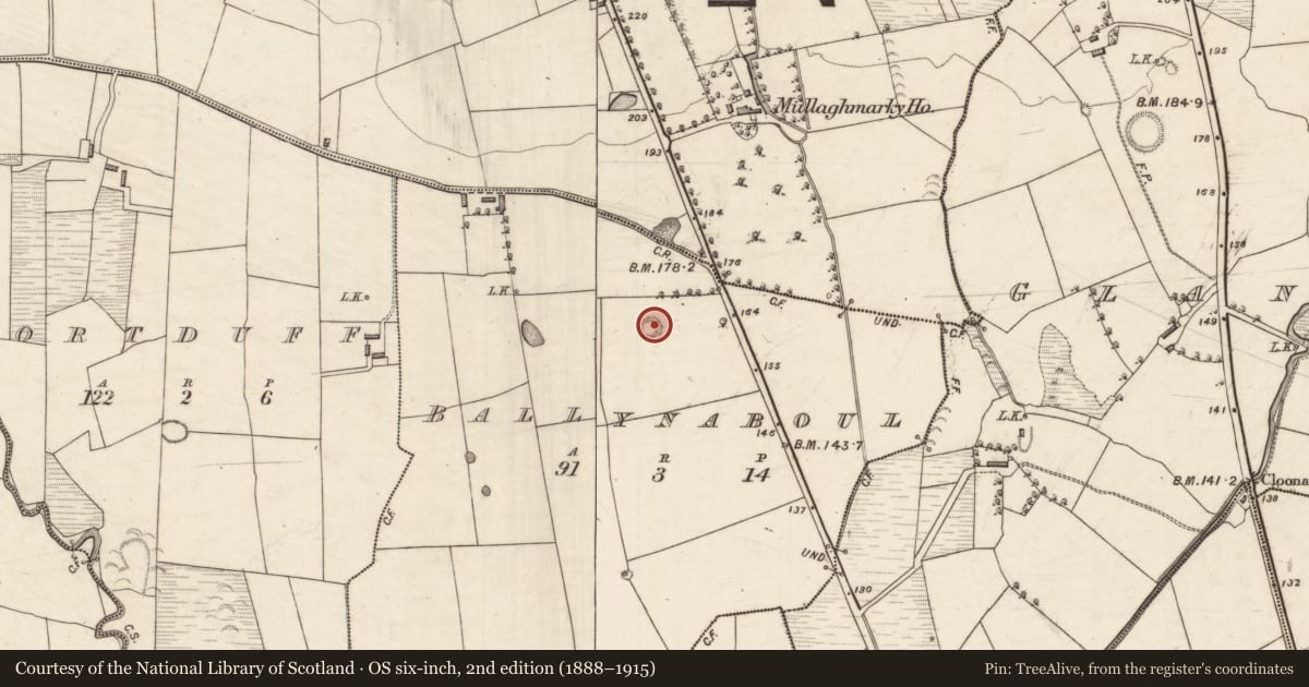Ordnance Survey six-inch map, 2nd edition (1888–1915) covering the location of Ringfort - rath, Ballynaboul, County Kerry, with a pin at the register's coordinates