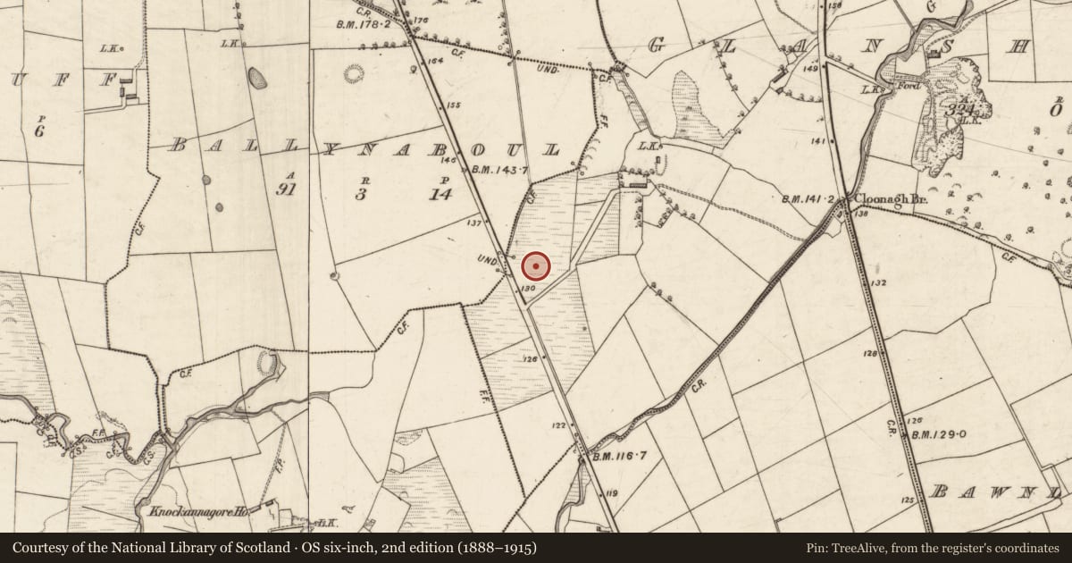 Ordnance Survey six-inch map, 2nd edition (1888–1915) covering the location of Burnt spread, Glanshearoon, County Kerry, with a pin at the register's coordinates