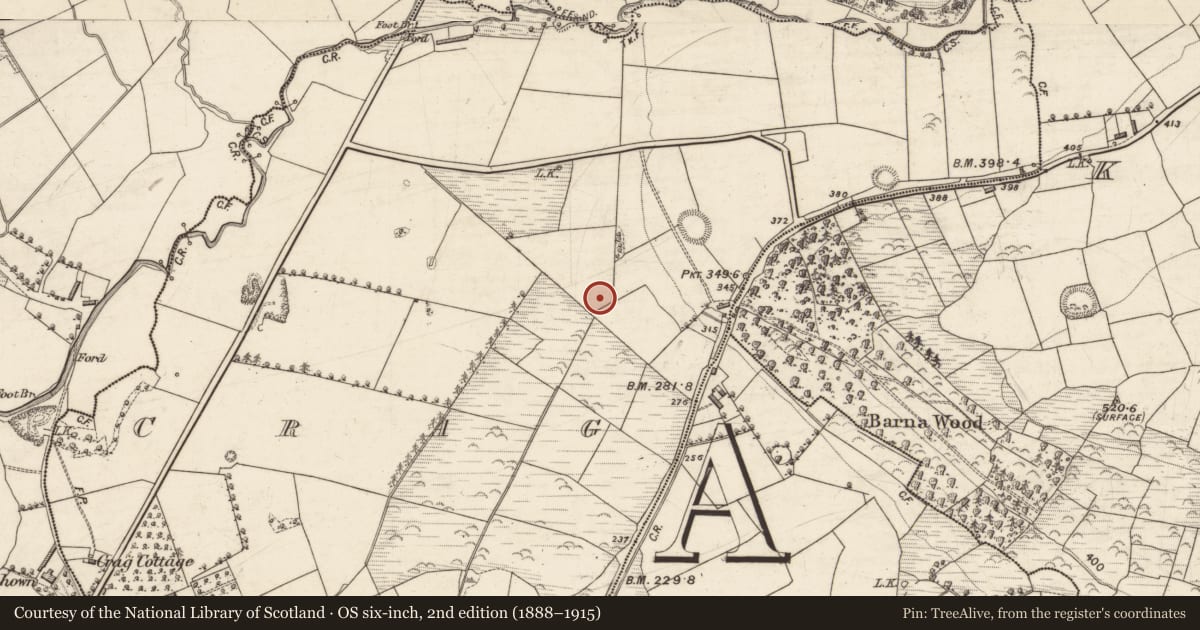 Ordnance Survey six-inch map, 2nd edition (1888–1915) covering the location of Burnt mound, Crag, County Kerry, with a pin at the register's coordinates