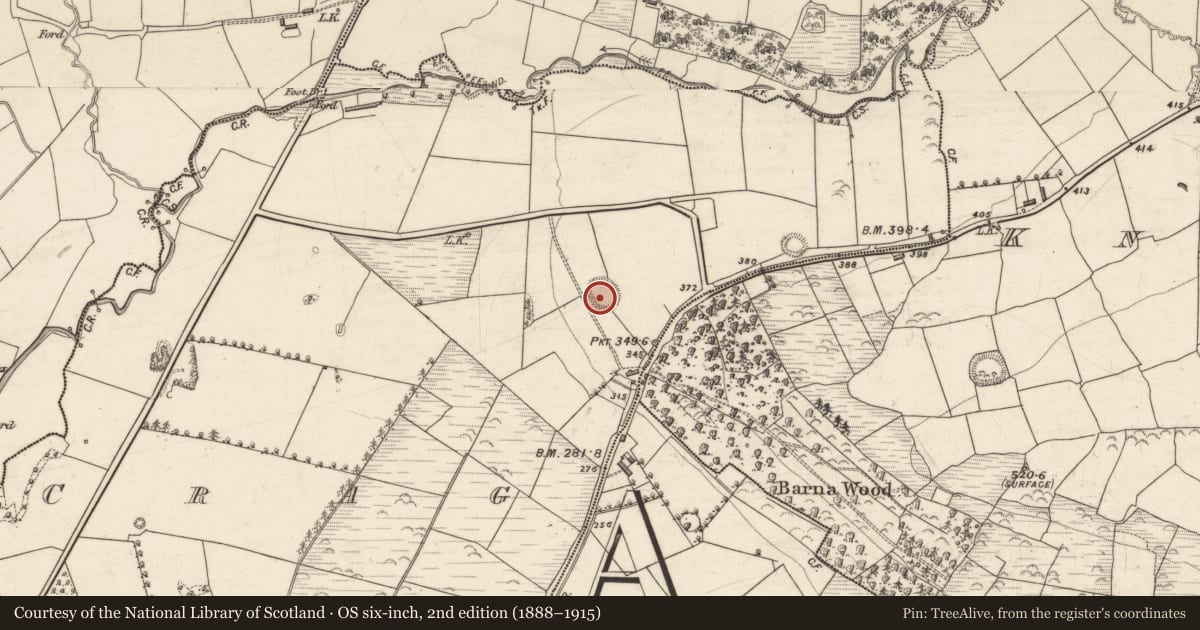 Ordnance Survey six-inch map, 2nd edition (1888–1915) covering the location of Ringfort - rath, Crag, County Kerry, with a pin at the register's coordinates