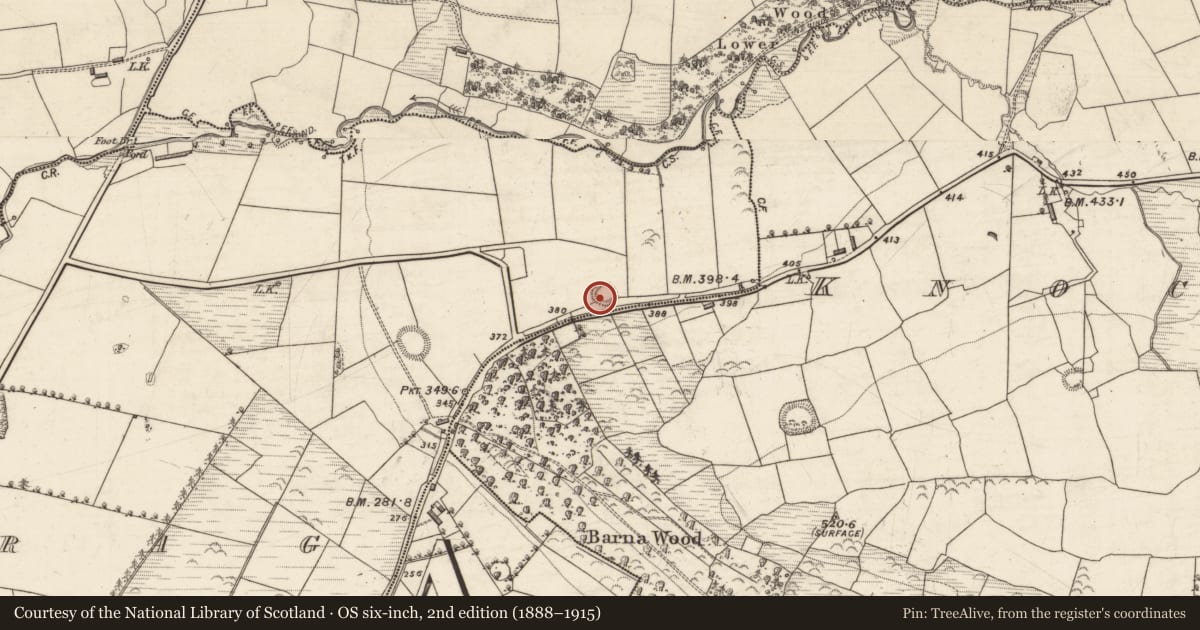 Ordnance Survey six-inch map, 2nd edition (1888–1915) covering the location of Ringfort - rath, Crag, County Kerry, with a pin at the register's coordinates