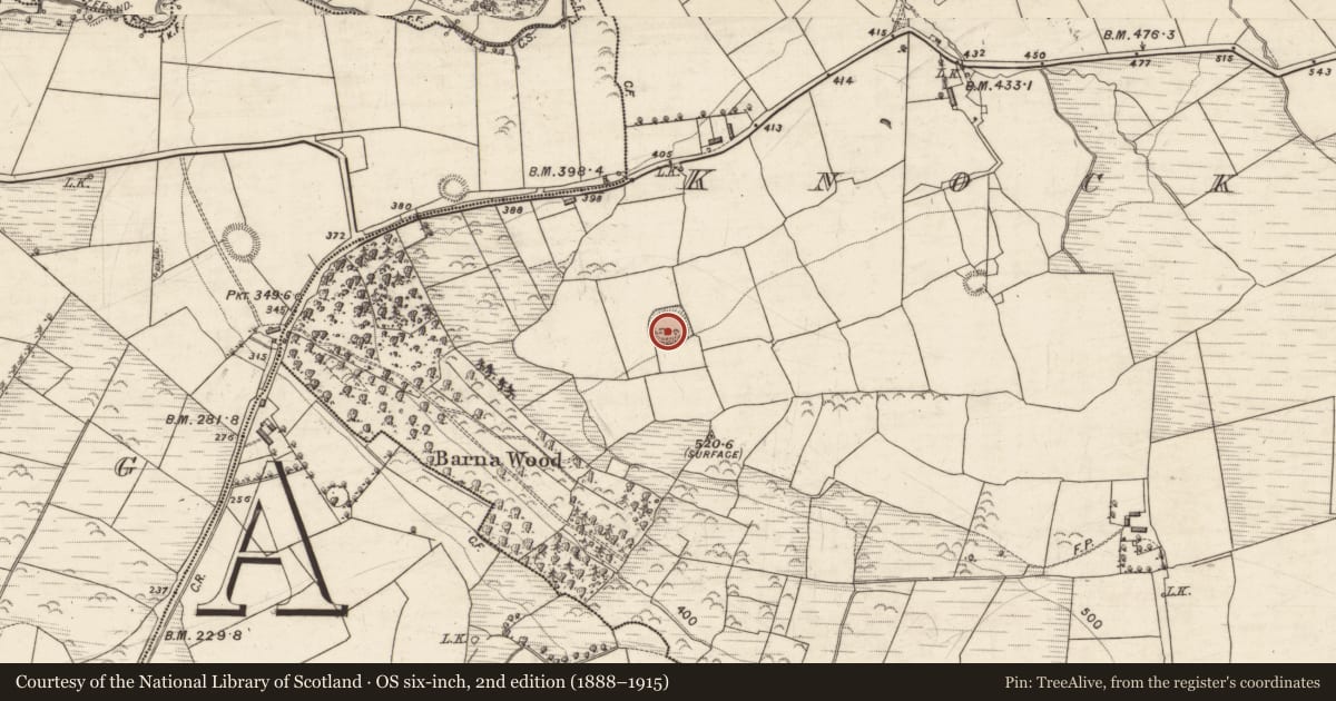 Ordnance Survey six-inch map, 2nd edition (1888–1915) covering the location of Ringfort - rath, Knockardtry, County Kerry, with a pin at the register's coordinates