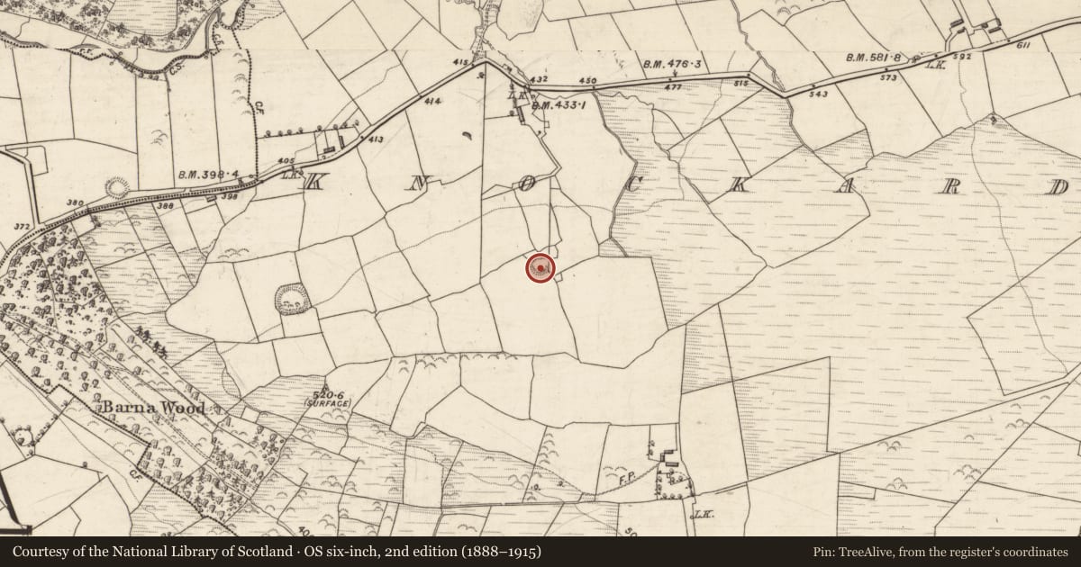 Ordnance Survey six-inch map, 2nd edition (1888–1915) covering the location of Ringfort - rath, Knockardtry, County Kerry, with a pin at the register's coordinates