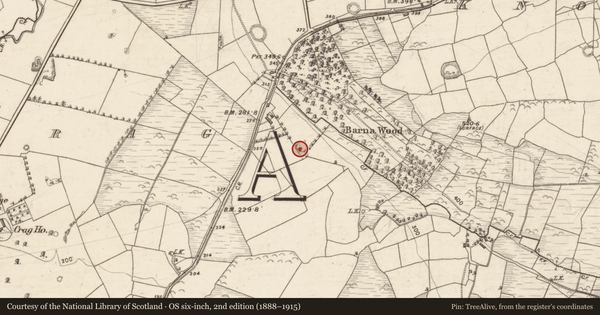 Ordnance Survey six-inch map, 2nd edition (1888–1915) covering the location of Enclosure, Kilbannivane, County Kerry, with a pin at the register's coordinates