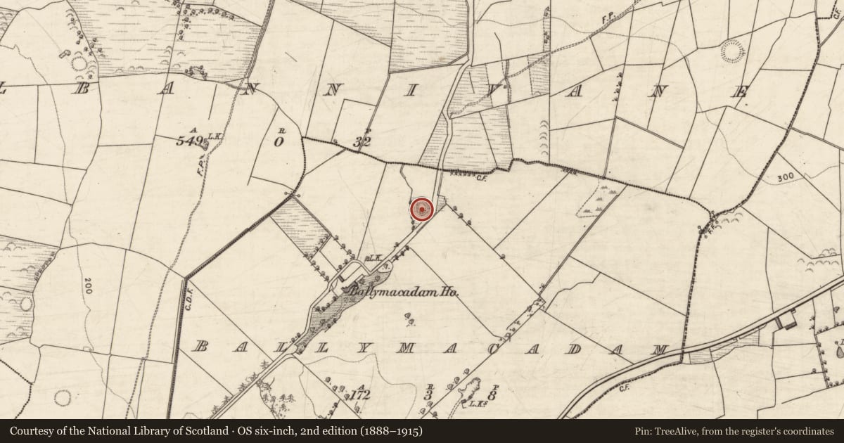 Ordnance Survey six-inch map, 2nd edition (1888–1915) covering the location of Ringfort - rath, Ballymacadam, County Kerry, with a pin at the register's coordinates