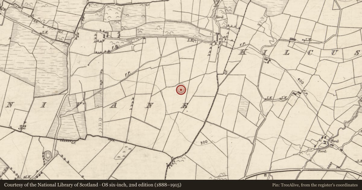 Ordnance Survey six-inch map, 2nd edition (1888–1915) covering the location of Ringfort - rath, Kilbannivane, County Kerry, with a pin at the register's coordinates