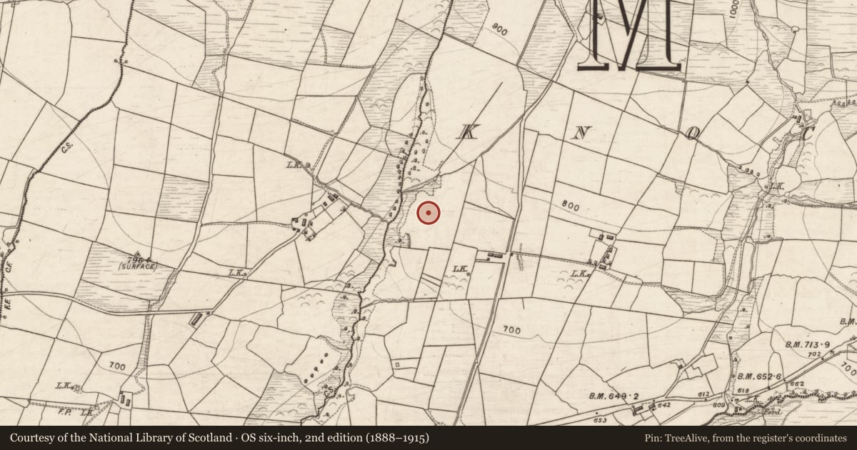 Ordnance Survey six-inch map, 2nd edition (1888–1915) covering the location of Fulacht fia, Knockatee, County Kerry, with a pin at the register's coordinates