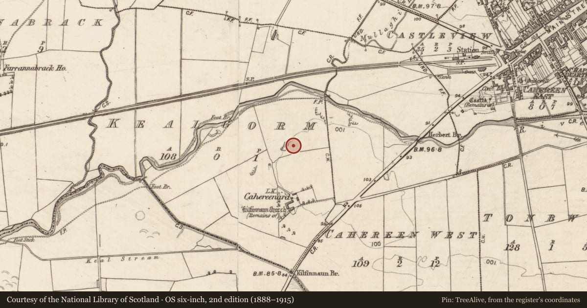Ordnance Survey six-inch map, 2nd edition (1888–1915) covering the location of Enclosure, Kealgorm, County Kerry, with a pin at the register's coordinates