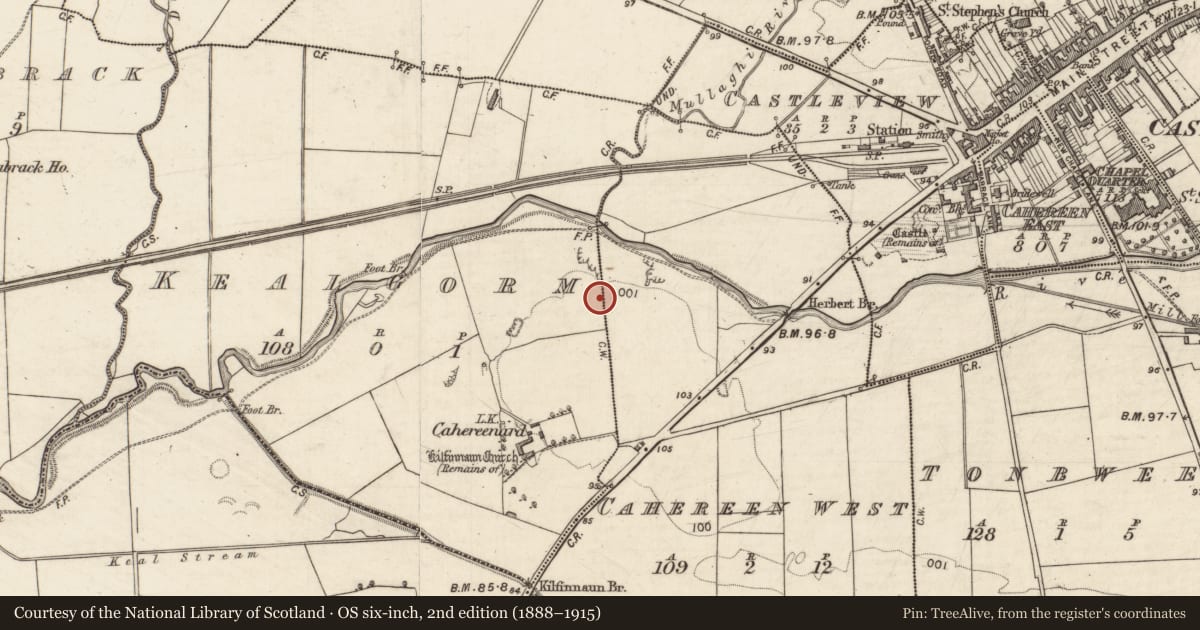 Ordnance Survey six-inch map, 2nd edition (1888–1915) covering the location of Ringfort - rath, Cahereen West, Kealgorm, County Kerry, with a pin at the register's coordinates