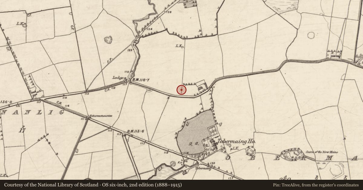 Ordnance Survey six-inch map, 2nd edition (1888–1915) covering the location of Ringfort - rath, Tullig, County Kerry, with a pin at the register's coordinates