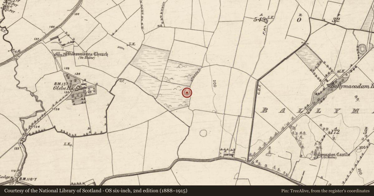 Ordnance Survey six-inch map, 2nd edition (1888–1915) covering the location of Ringfort - rath, Kilbannivane, County Kerry, with a pin at the register's coordinates