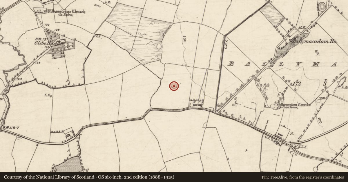 Ordnance Survey six-inch map, 2nd edition (1888–1915) covering the location of Ringfort - rath, Kilbannivane, County Kerry, with a pin at the register's coordinates