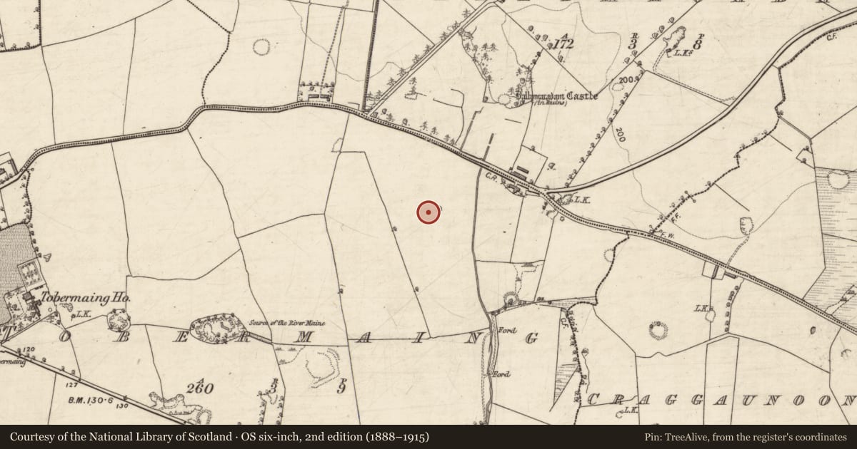 Ordnance Survey six-inch map, 2nd edition (1888–1915) covering the location of Ringfort - rath, Tobermaing, County Kerry, with a pin at the register's coordinates