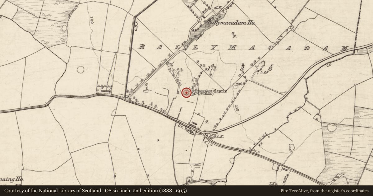 Ordnance Survey six-inch map, 2nd edition (1888–1915) covering the location of Castle - tower house, Ballymacadam, County Kerry, with a pin at the register's coordinates