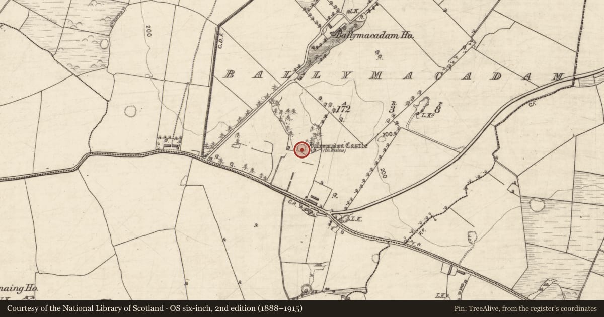 Ordnance Survey six-inch map, 2nd edition (1888–1915) covering the location of Enclosure, Ballymacadam, County Kerry, with a pin at the register's coordinates