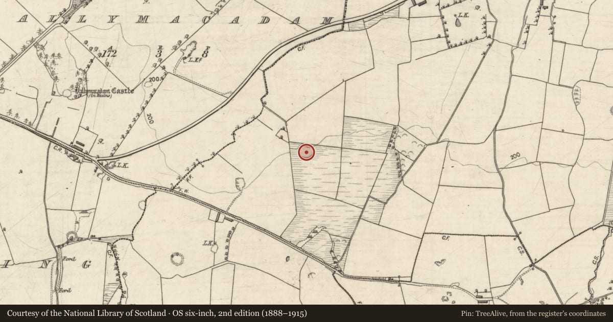 Ordnance Survey six-inch map, 2nd edition (1888–1915) covering the location of Ringfort - rath, Kilcusnaun, County Kerry, with a pin at the register's coordinates