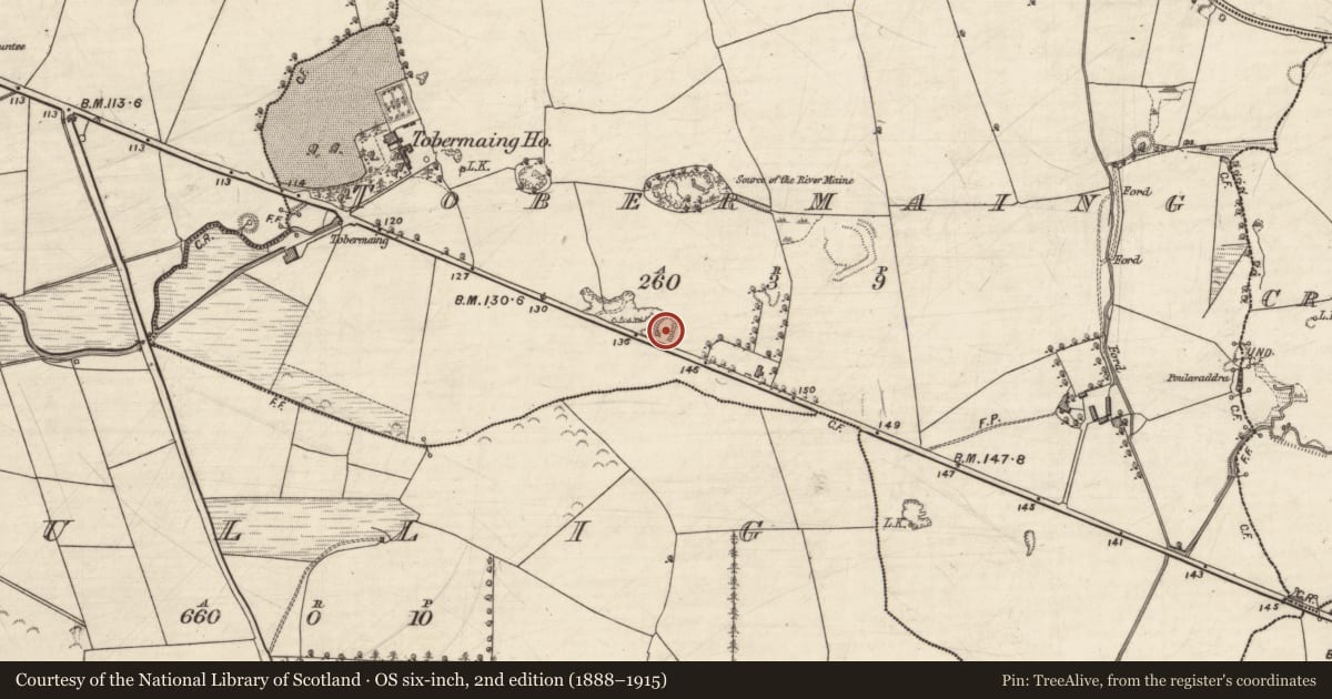 Ordnance Survey six-inch map, 2nd edition (1888–1915) covering the location of Enclosure, Tobermaing, County Kerry, with a pin at the register's coordinates