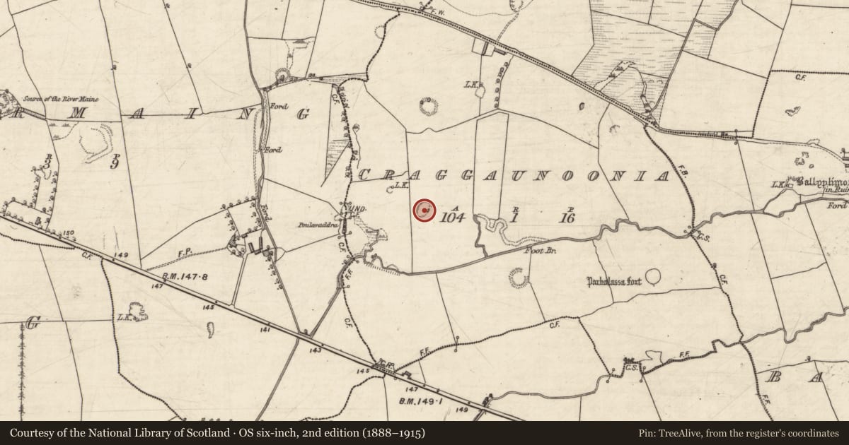 Ordnance Survey six-inch map, 2nd edition (1888–1915) covering the location of Ringfort - rath, Craggaunoonia, County Kerry, with a pin at the register's coordinates