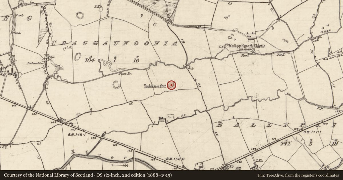 Ordnance Survey six-inch map, 2nd edition (1888–1915) covering the location of Ringfort - rath, Craggaunoonia, County Kerry, with a pin at the register's coordinates