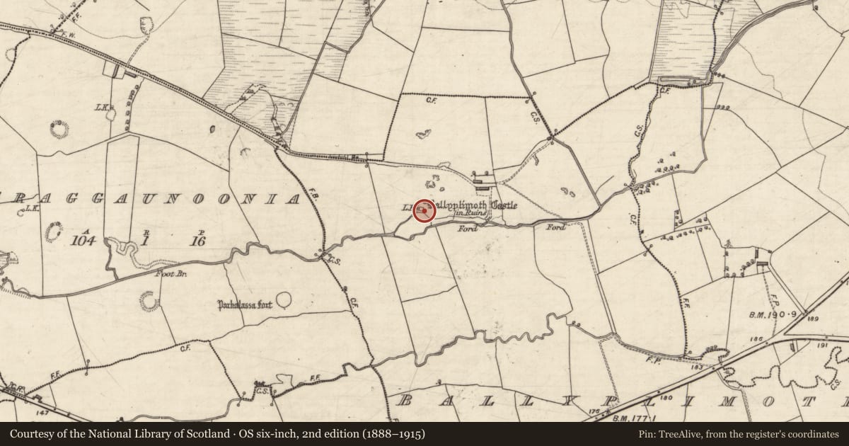 Ordnance Survey six-inch map, 2nd edition (1888–1915) covering the location of Castle - tower house, Ballyplimoth, County Kerry, with a pin at the register's coordinates