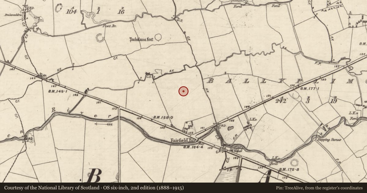 Ordnance Survey six-inch map, 2nd edition (1888–1915) covering the location of Enclosure, Ballynahallia, County Kerry, with a pin at the register's coordinates