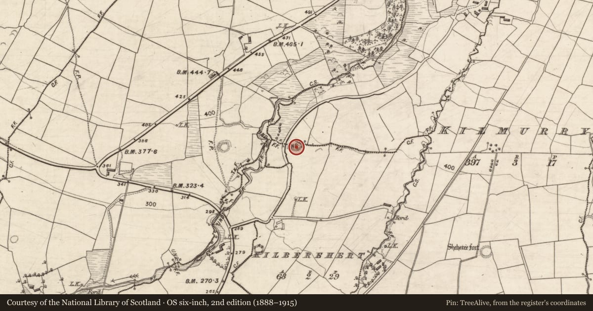 Ordnance Survey six-inch map, 2nd edition (1888–1915) covering the location of Ringfort - rath, Kilberehert, Leamydoody, County Kerry, with a pin at the register's coordinates