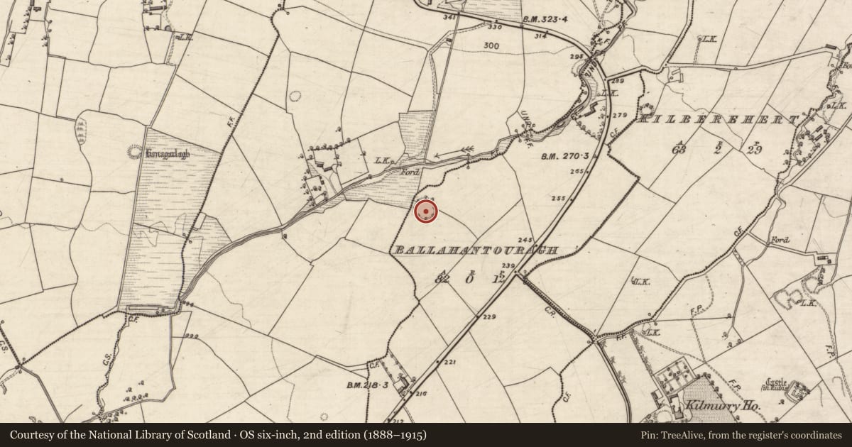 Ordnance Survey six-inch map, 2nd edition (1888–1915) covering the location of Ringfort - rath, Ballahantouragh, County Kerry, with a pin at the register's coordinates