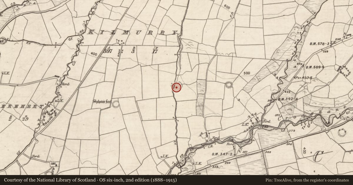Ordnance Survey six-inch map, 2nd edition (1888–1915) covering the location of Ringfort - rath, Ballinard, County Kerry, with a pin at the register's coordinates