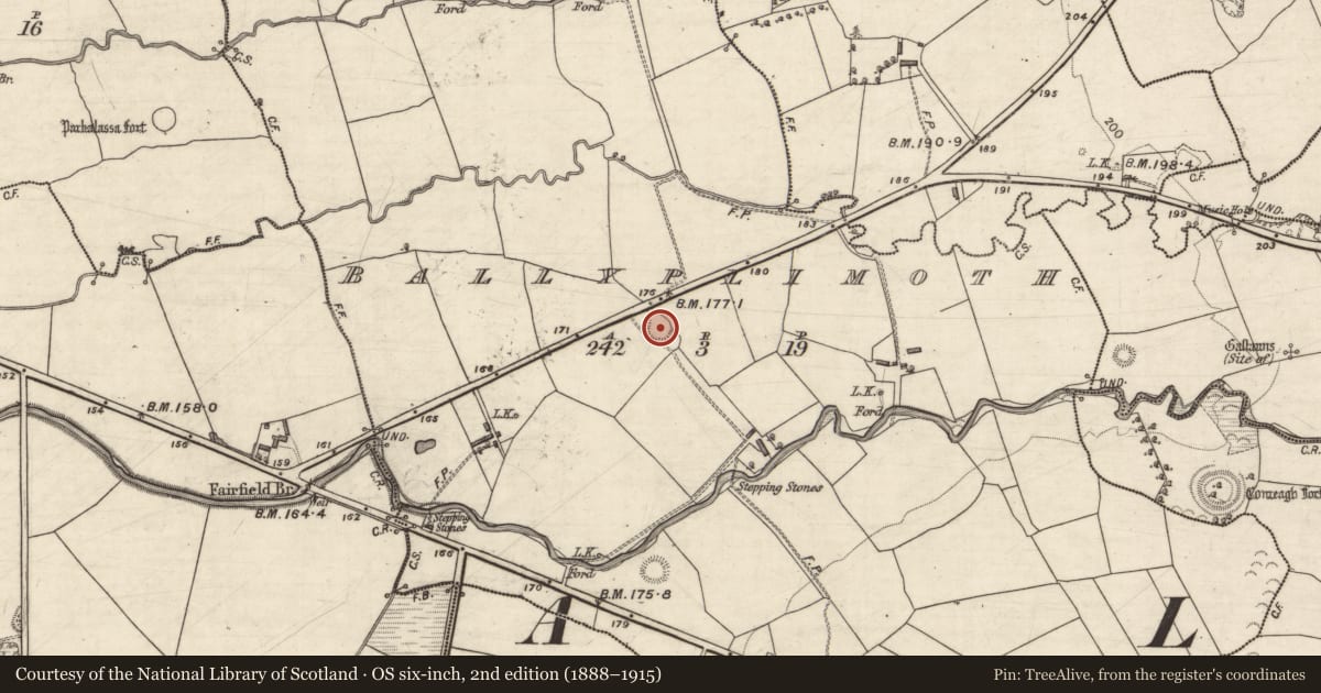 Ordnance Survey six-inch map, 2nd edition (1888–1915) covering the location of Enclosure, Ballyplimoth, County Kerry, with a pin at the register's coordinates