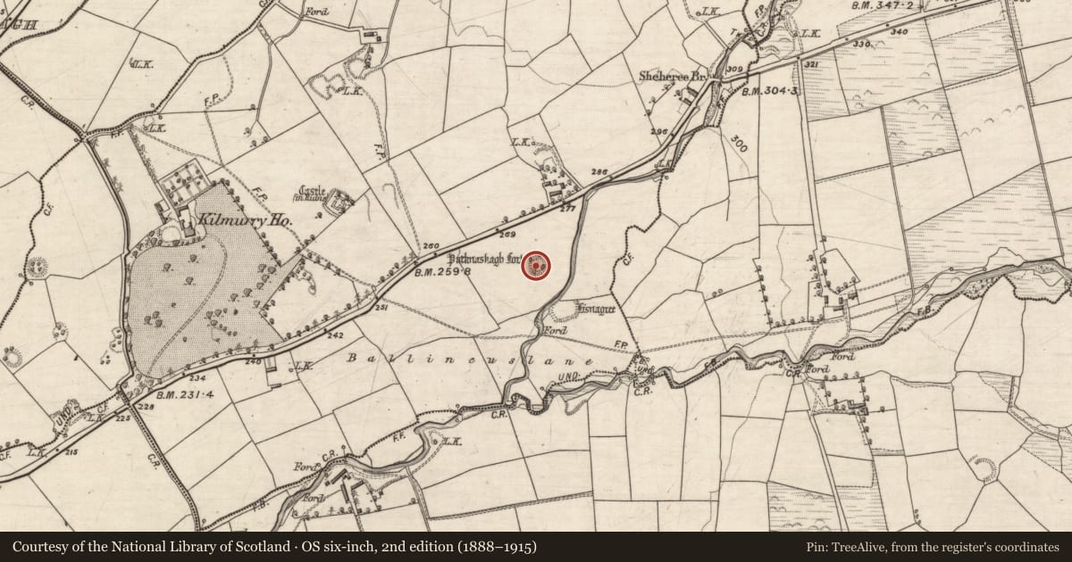 Ordnance Survey six-inch map, 2nd edition (1888–1915) covering the location of Ringfort - rath, Kilmurry, County Kerry, with a pin at the register's coordinates