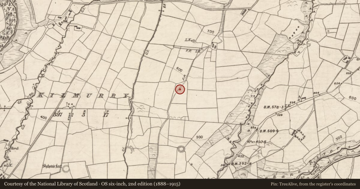 Ordnance Survey six-inch map, 2nd edition (1888–1915) covering the location of Enclosure, Ballinard, County Kerry, with a pin at the register's coordinates