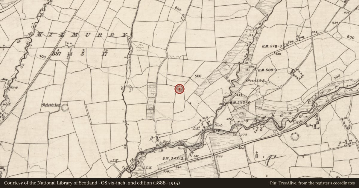 Ordnance Survey six-inch map, 2nd edition (1888–1915) covering the location of Ringfort - rath, Ballinard, County Kerry, with a pin at the register's coordinates