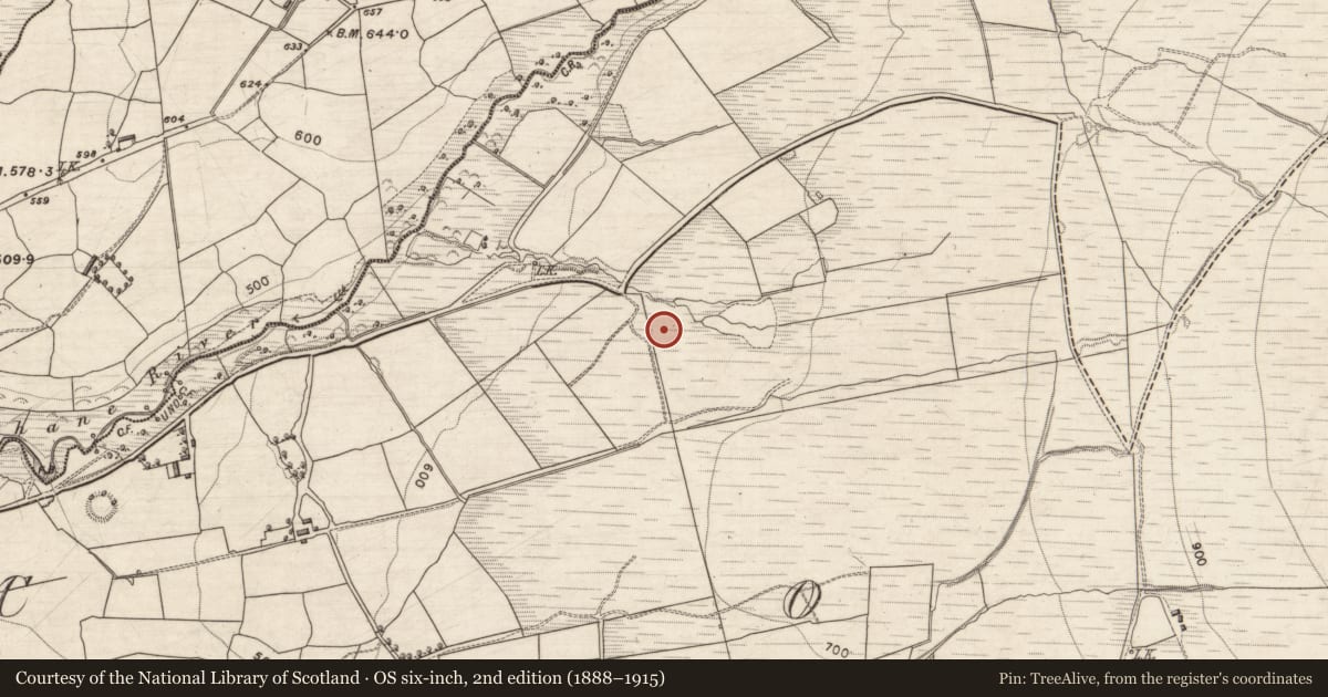 Ordnance Survey six-inch map, 2nd edition (1888–1915) covering the location of Fulacht fia, Coom, County Kerry, with a pin at the register's coordinates