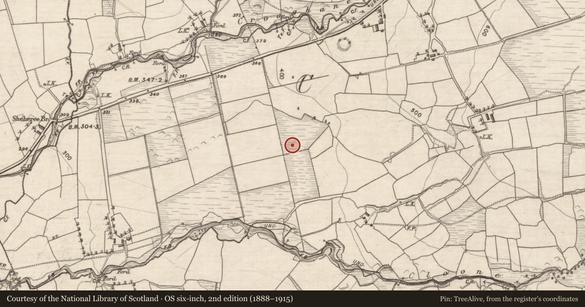 Ordnance Survey six-inch map, 2nd edition (1888–1915) covering the location of Burnt spread, Coom, County Kerry, with a pin at the register's coordinates