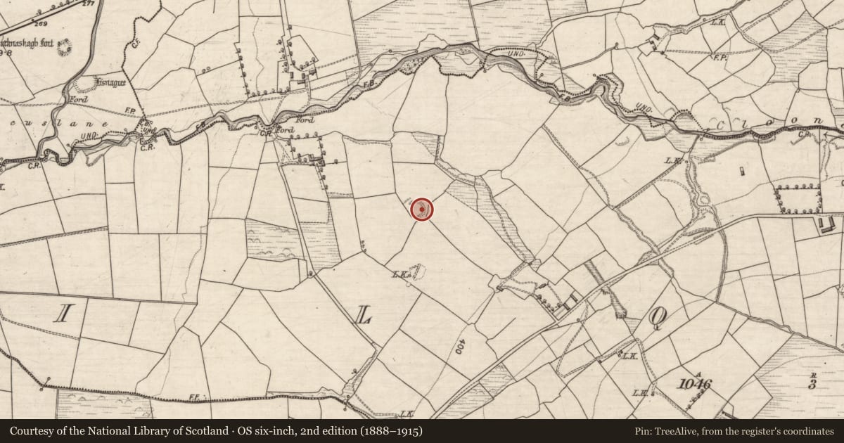 Ordnance Survey six-inch map, 2nd edition (1888–1915) covering the location of Hut site, Kilquane, County Kerry, with a pin at the register's coordinates