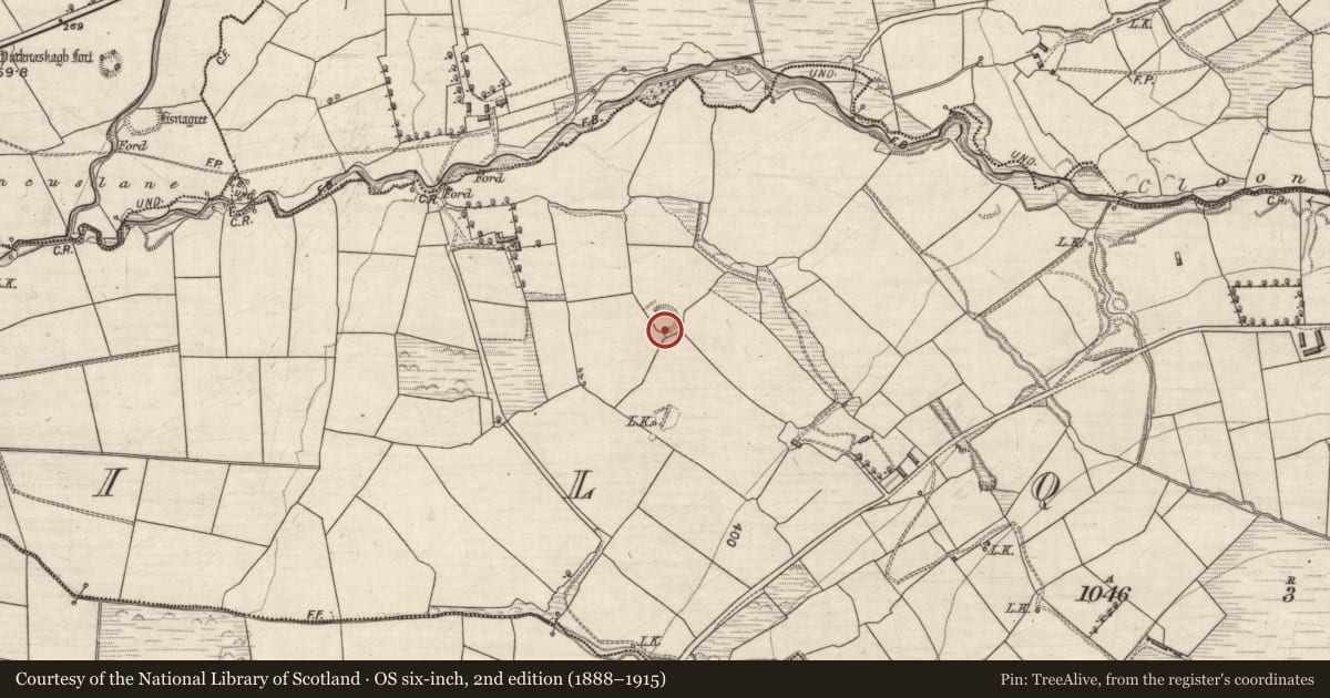 Ordnance Survey six-inch map, 2nd edition (1888–1915) covering the location of Hut site, Kilquane, County Kerry, with a pin at the register's coordinates