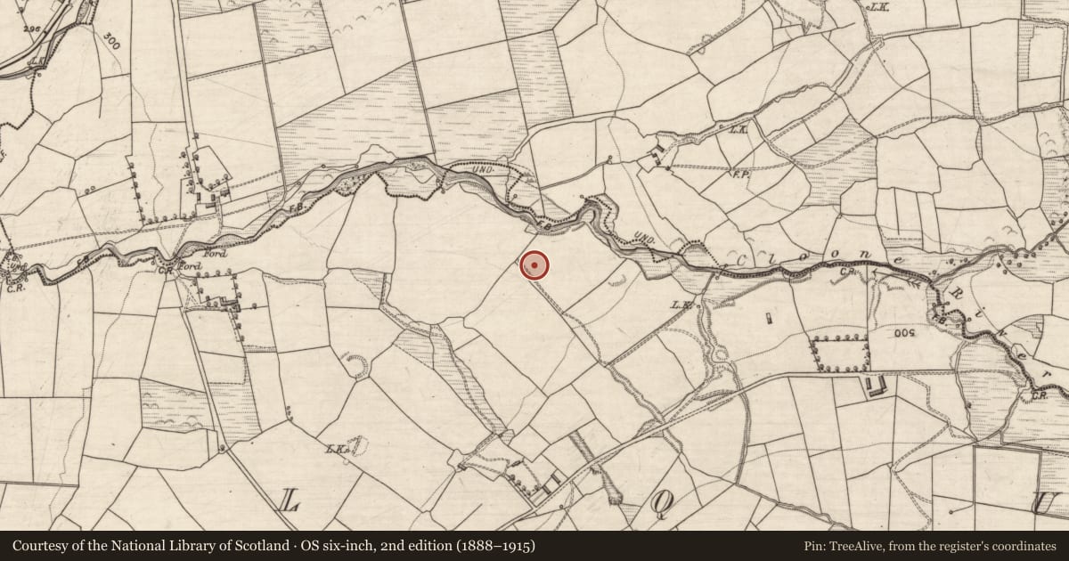 Ordnance Survey six-inch map, 2nd edition (1888–1915) covering the location of Enclosure, Kilquane, County Kerry, with a pin at the register's coordinates
